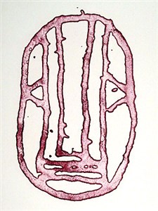 Image description is not available for 1981.160